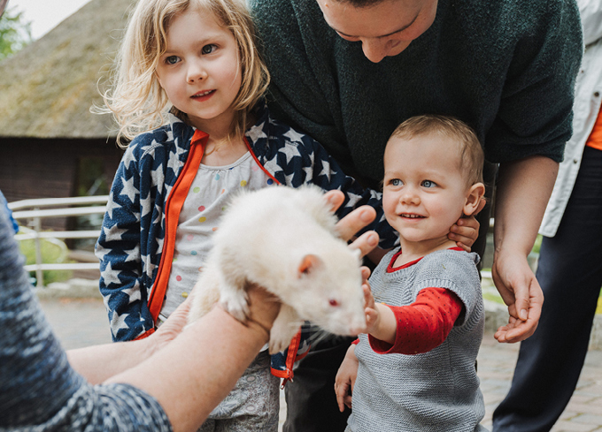 Wildpark Schwarze Berge